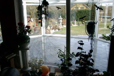 22.02.2007: Der Boden 