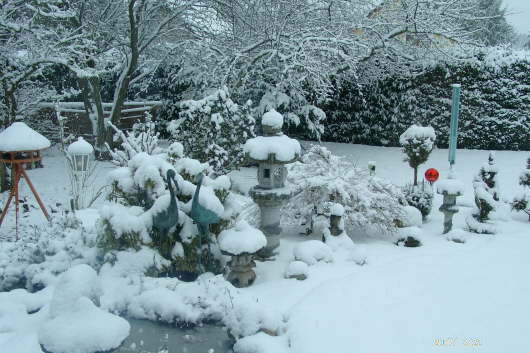 22.03.2007: Eine weie Pracht ...