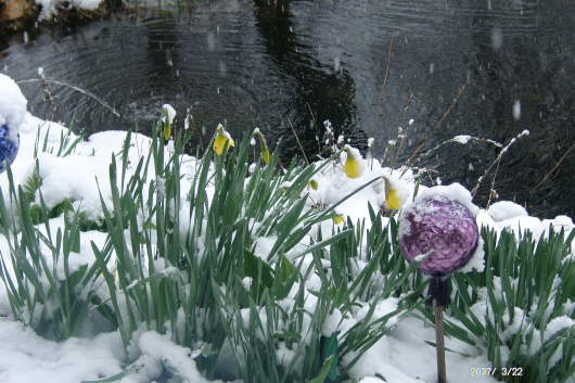 22.03.2007: Der Frhling