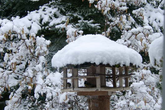 07.04.2008: Die Vgel