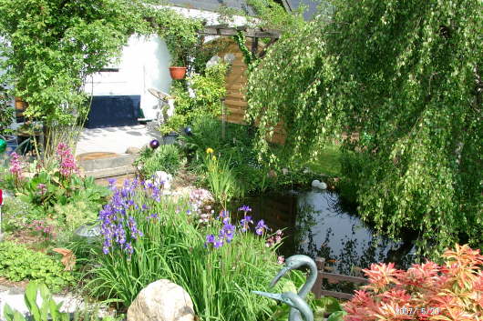 20.05.2007: Um den Gartenteich