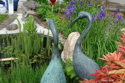 20.05.2007: Um den Gartenteich