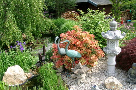 20.05.2007: Um den Gartenteich