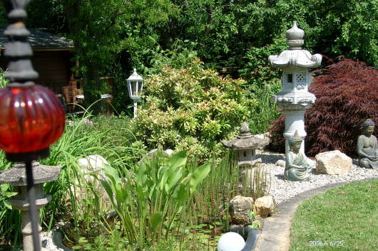 25.06.2006: Ein Biotop