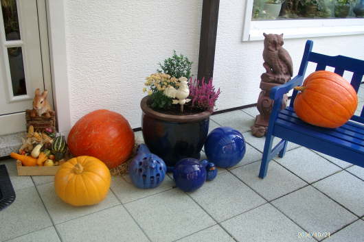 21.10.2006: Alle Krbisse