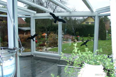 08.12.2006: Regen, Regen und kein Glas ...