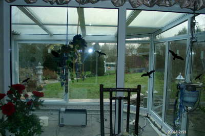 21.12.2006: Warten auf Godot?