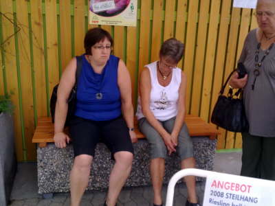 21.07.2010: auch das Landesgartenschau Gelnde