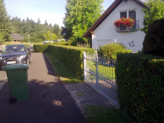 13.08.2012: Letztes Foto der Hecke