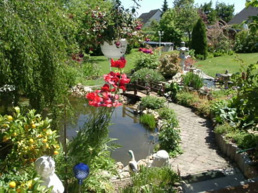 07.06.2004: Blick in den Garten