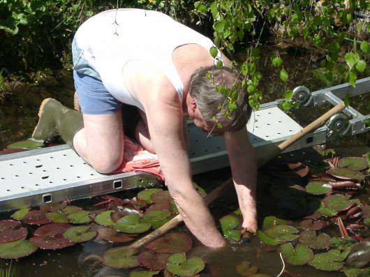 04.05.2003: Die Seerosen