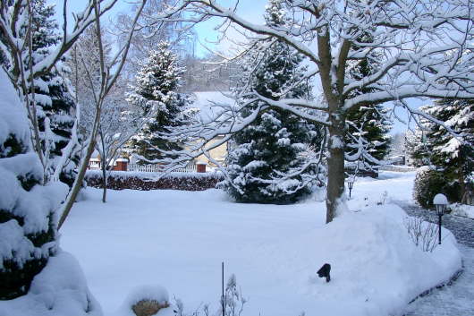 21.02.2005: Unser Vorgarten