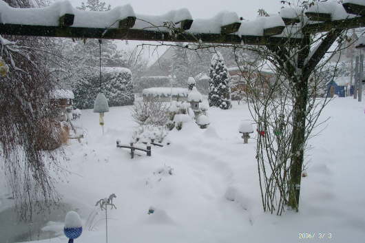 03.03.2006: Der Garten 