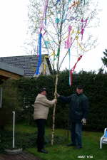 30.04.2006: Der Maibaum 
